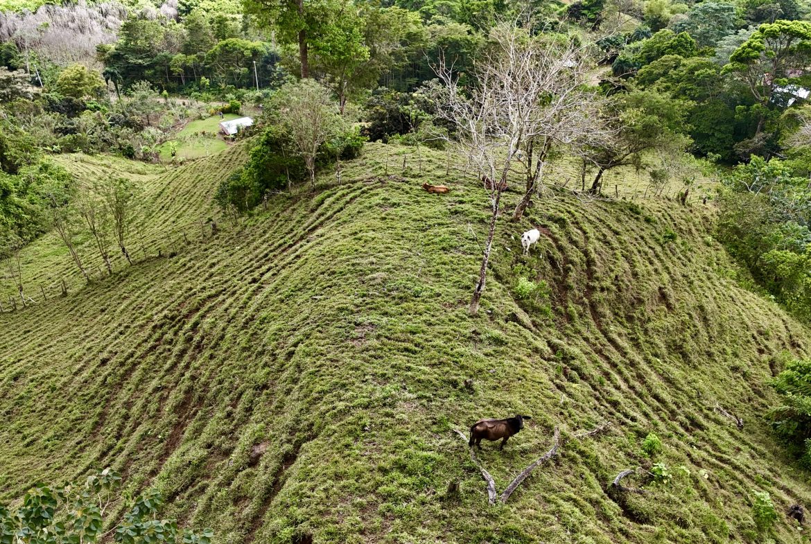 NATURAL PARADISE IN MORETE, UVITA – 17.2 ACRES WITH OCEAN & MOUNTAIN VIEWS