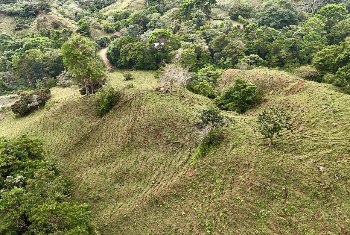 NATURAL PARADISE IN MORETE, UVITA – 17.2 ACRES WITH OCEAN & MOUNTAIN VIEWS