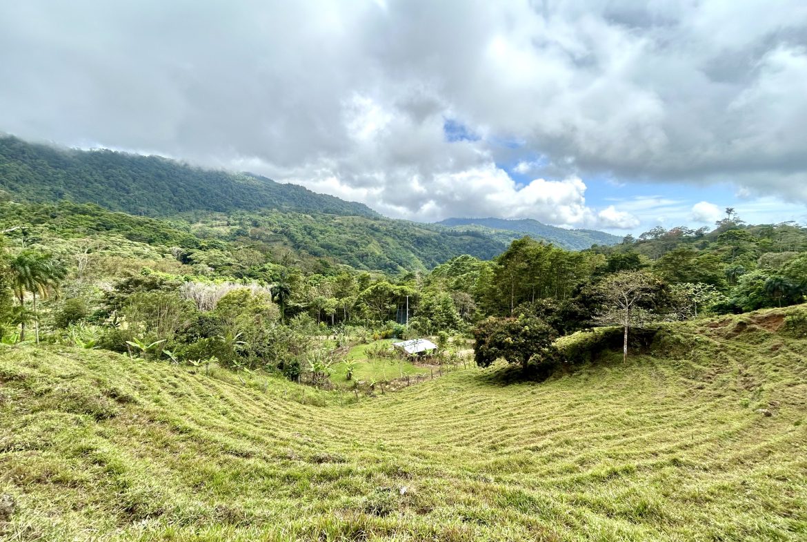 NATURAL PARADISE IN MORETE, UVITA – 17.2 ACRES WITH OCEAN & MOUNTAIN VIEWS