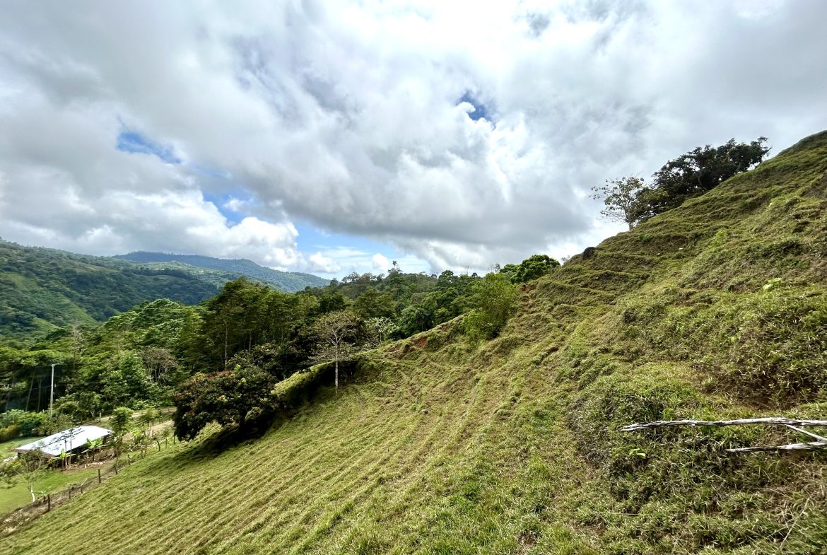 NATURAL PARADISE IN MORETE, UVITA – 17.2 ACRES WITH OCEAN & MOUNTAIN VIEWS