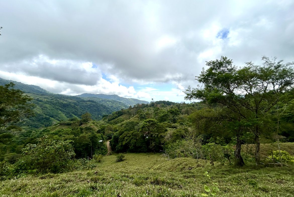 NATURAL PARADISE IN MORETE, UVITA – 17.2 ACRES WITH OCEAN & MOUNTAIN VIEWS