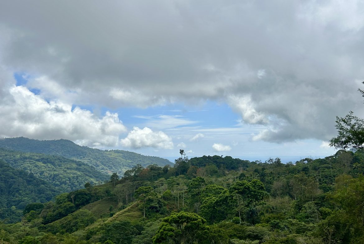 NATURAL PARADISE IN MORETE, UVITA – 17.2 ACRES WITH OCEAN & MOUNTAIN VIEWS
