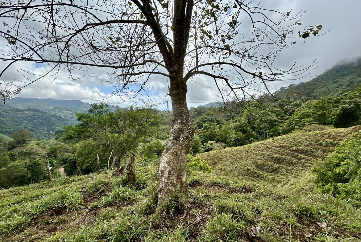 NATURAL PARADISE IN MORETE, UVITA – 17.2 ACRES WITH OCEAN & MOUNTAIN VIEWS