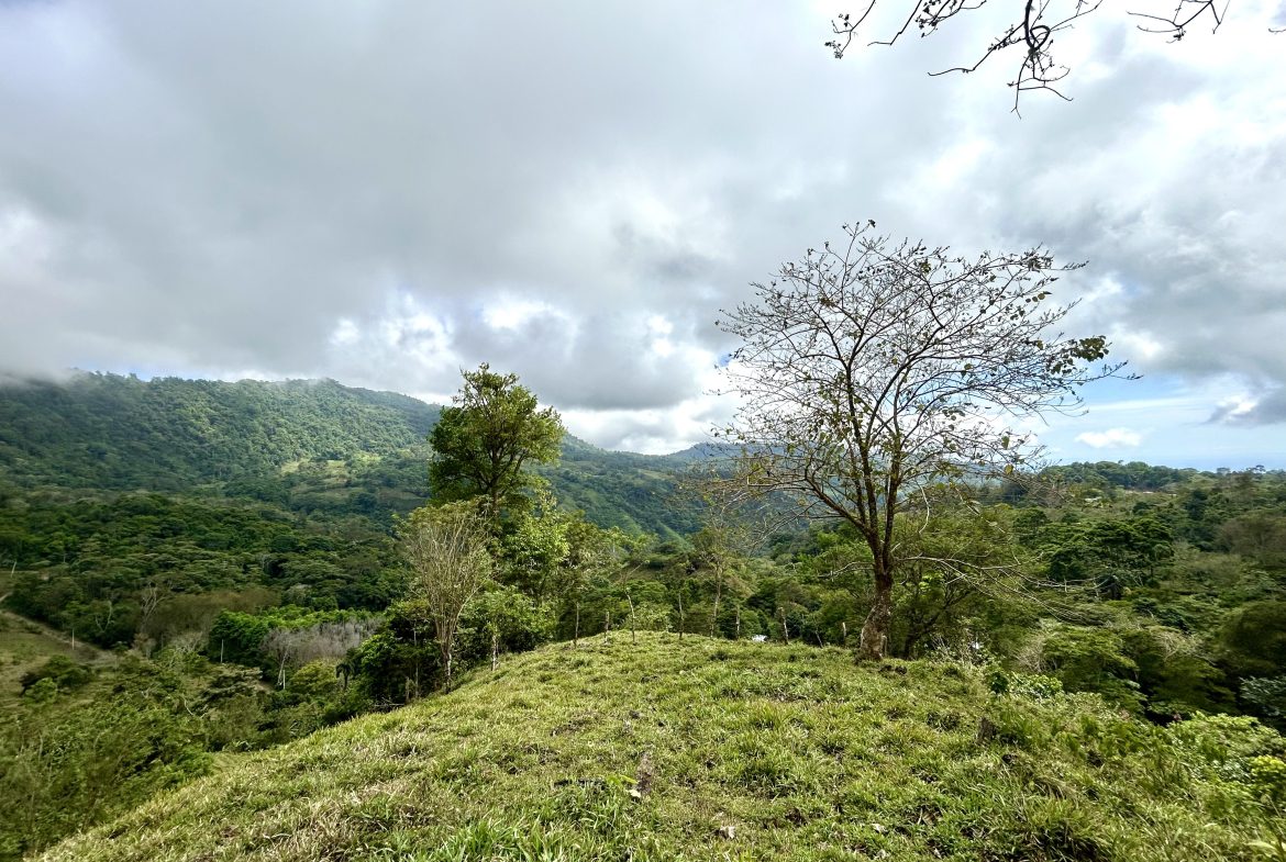 NATURAL PARADISE IN MORETE, UVITA – 17.2 ACRES WITH OCEAN & MOUNTAIN VIEWS