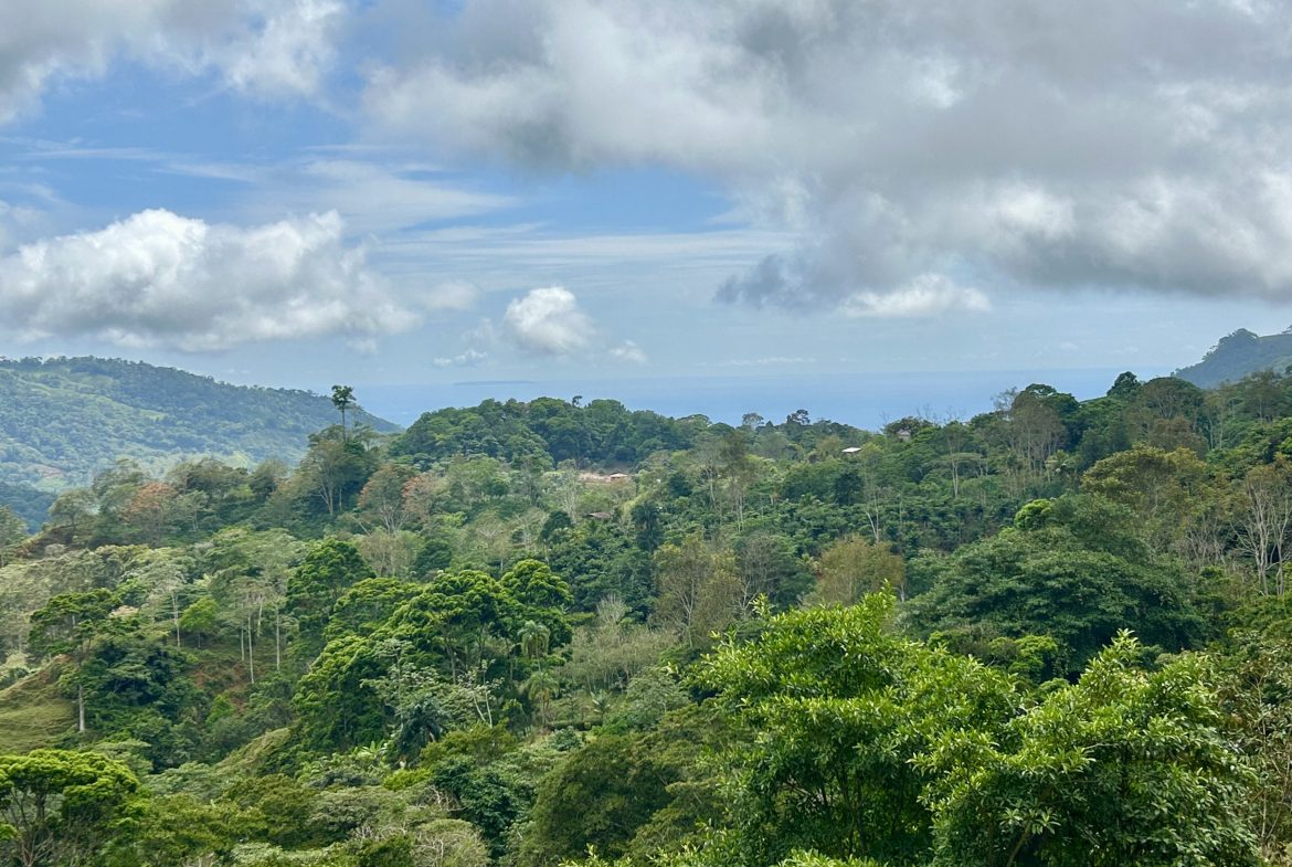 NATURAL PARADISE IN MORETE, UVITA – 17.2 ACRES WITH OCEAN & MOUNTAIN VIEWS