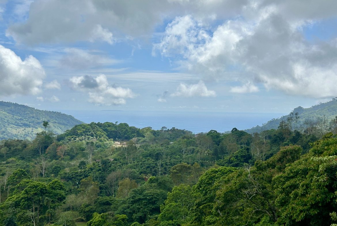 NATURAL PARADISE IN MORETE, UVITA – 17.2 ACRES WITH OCEAN & MOUNTAIN VIEWS