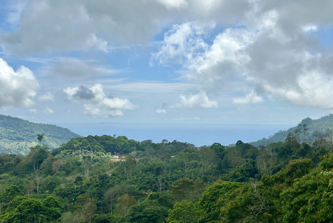 NATURAL PARADISE IN MORETE, UVITA – 17.2 ACRES WITH OCEAN & MOUNTAIN VIEWS