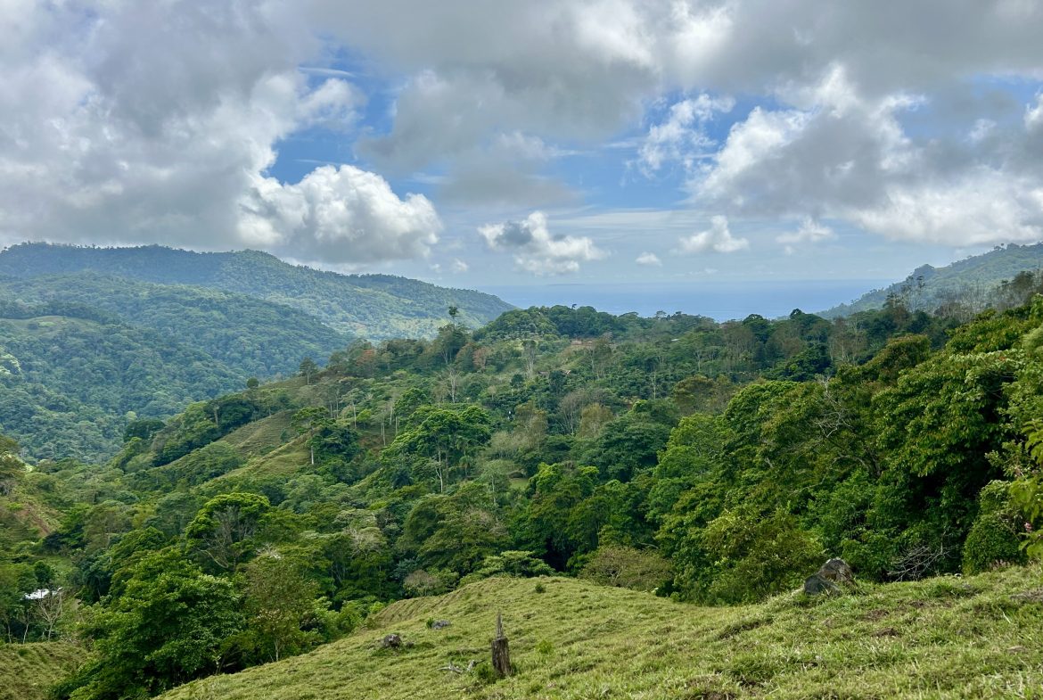 NATURAL PARADISE IN MORETE, UVITA – 17.2 ACRES WITH OCEAN & MOUNTAIN VIEWS