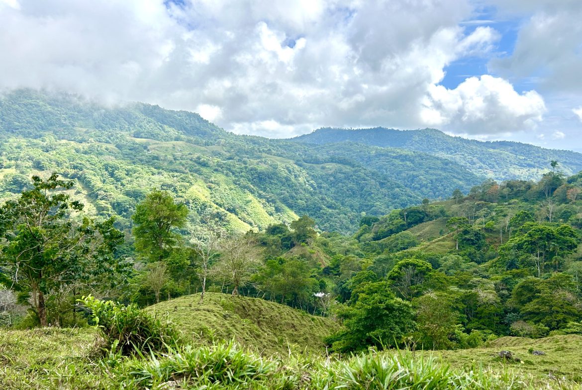 NATURAL PARADISE IN MORETE, UVITA – 17.2 ACRES WITH OCEAN & MOUNTAIN VIEWS