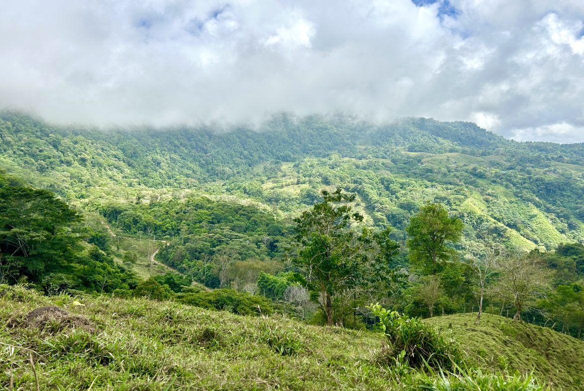 NATURAL PARADISE IN MORETE, UVITA – 17.2 ACRES WITH OCEAN & MOUNTAIN VIEWS