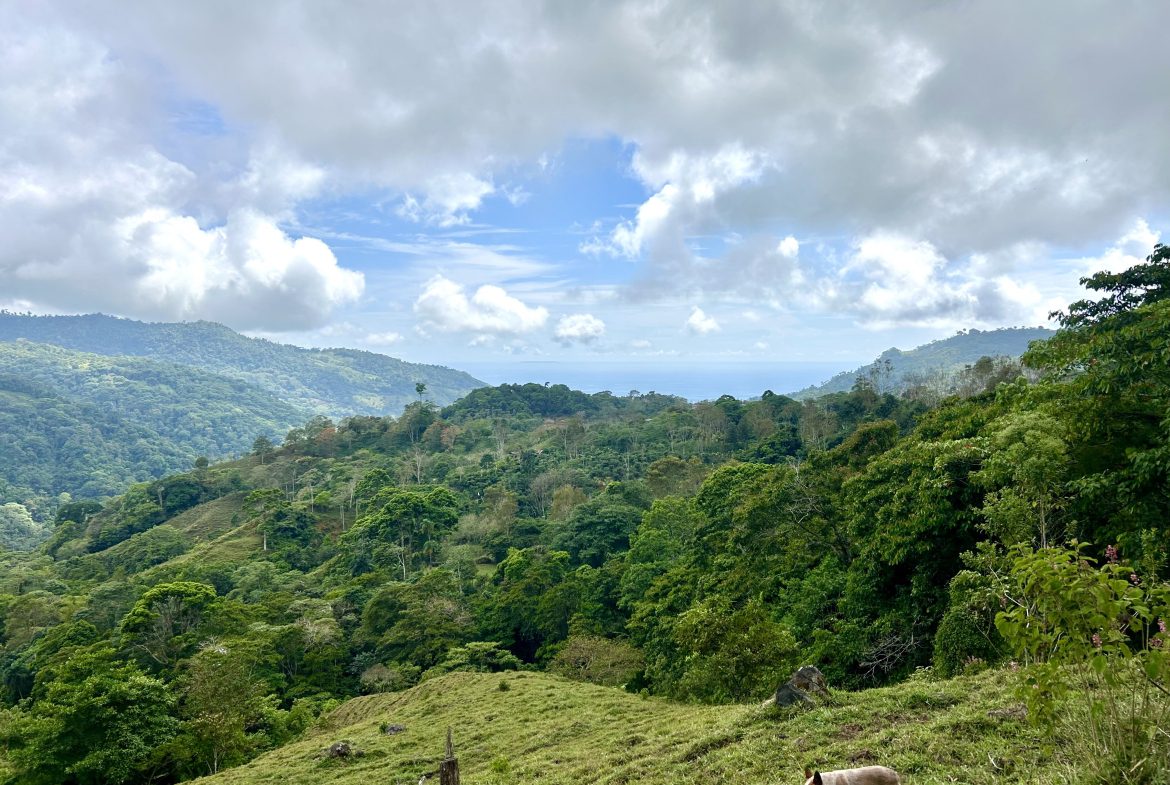 NATURAL PARADISE IN MORETE, UVITA – 17.2 ACRES WITH OCEAN & MOUNTAIN VIEWS