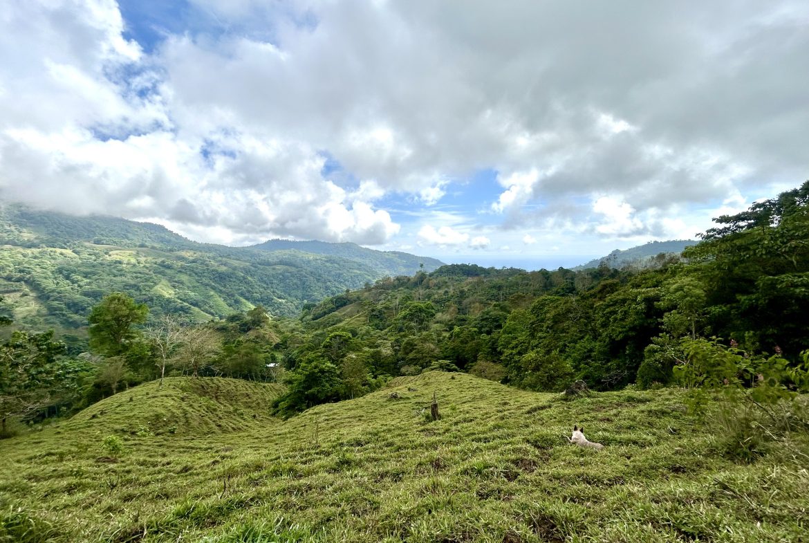 NATURAL PARADISE IN MORETE, UVITA – 17.2 ACRES WITH OCEAN & MOUNTAIN VIEWS