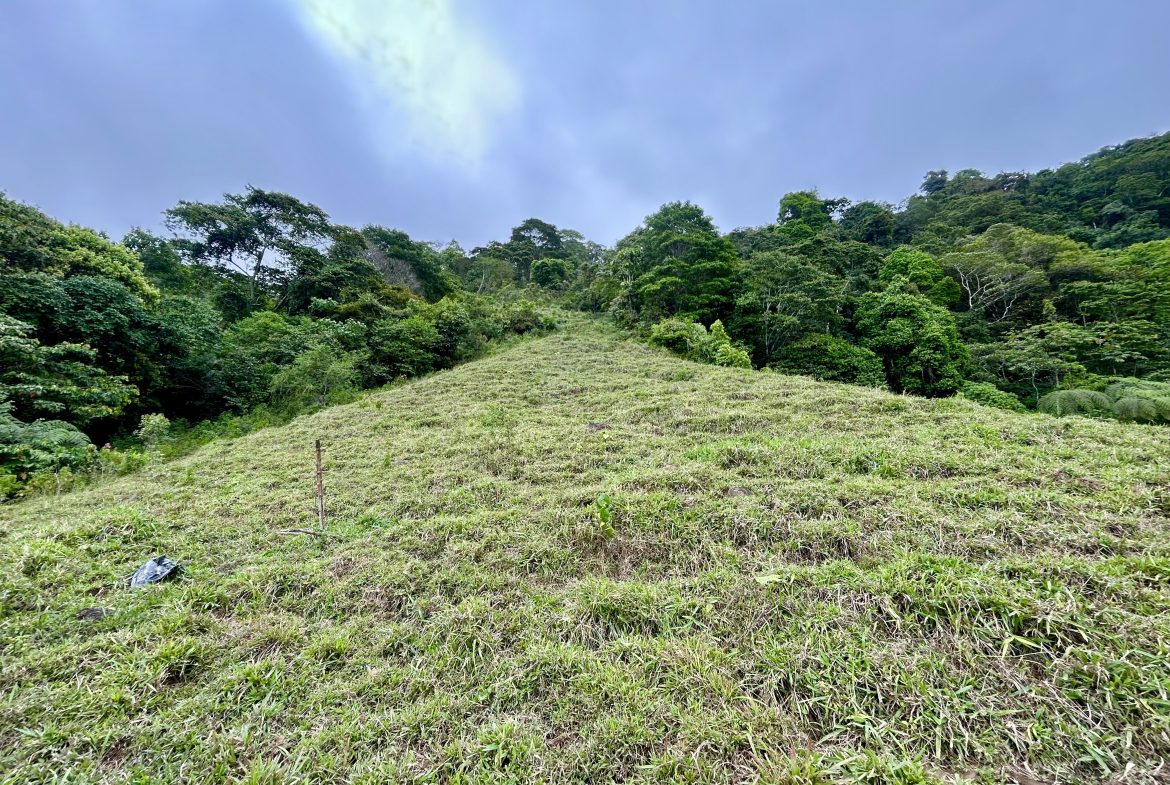 NATURAL PARADISE IN MORETE, UVITA – 17.2 ACRES WITH OCEAN & MOUNTAIN VIEWS