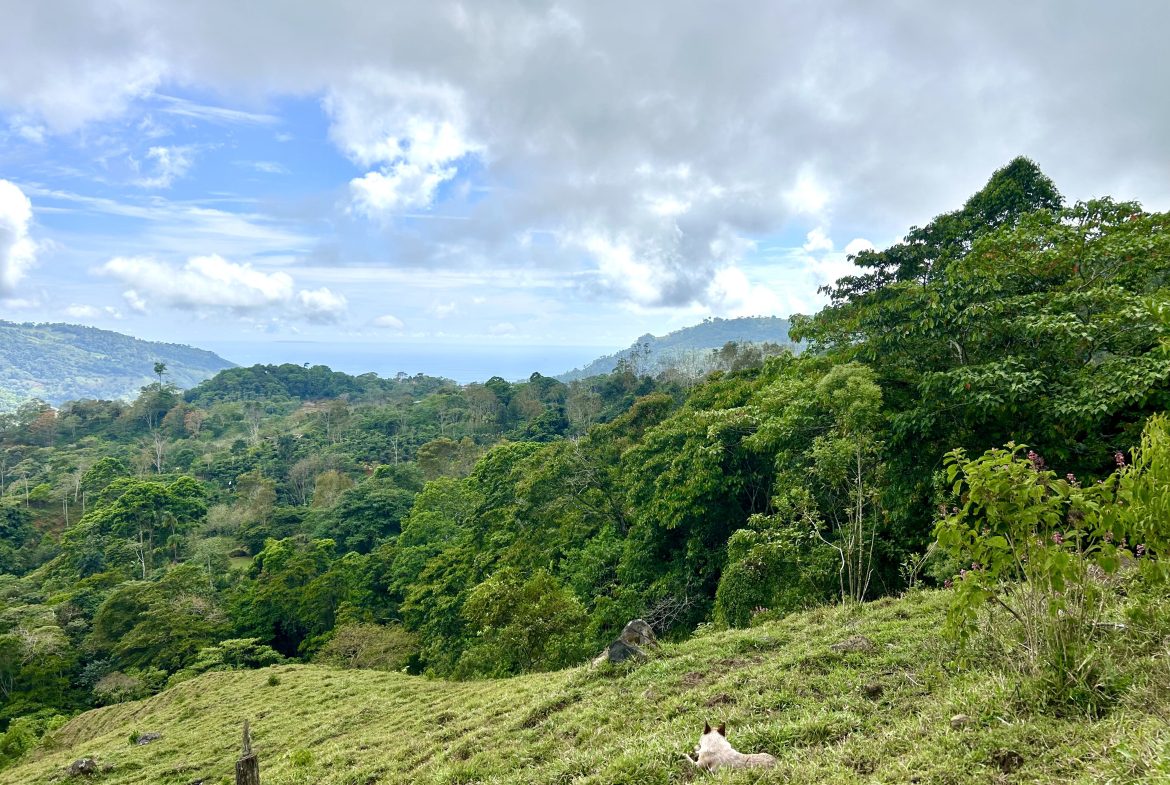 NATURAL PARADISE IN MORETE, UVITA – 17.2 ACRES WITH OCEAN & MOUNTAIN VIEWS