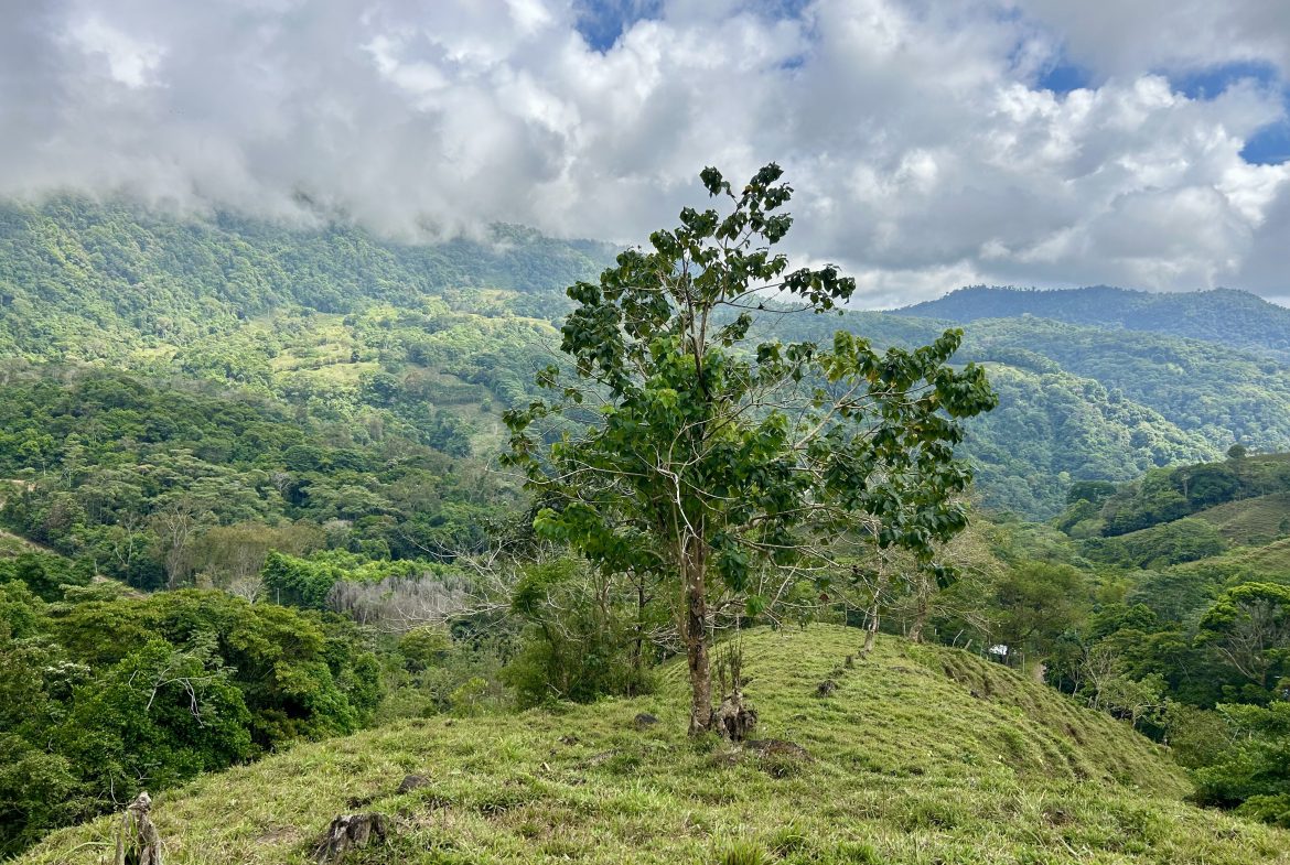 NATURAL PARADISE IN MORETE, UVITA – 17.2 ACRES WITH OCEAN & MOUNTAIN VIEWS