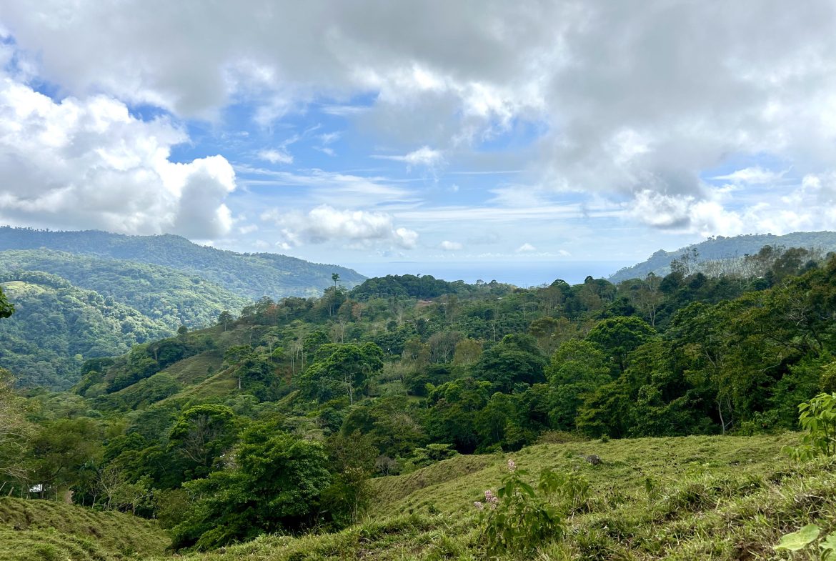 NATURAL PARADISE IN MORETE, UVITA – 17.2 ACRES WITH OCEAN & MOUNTAIN VIEWS