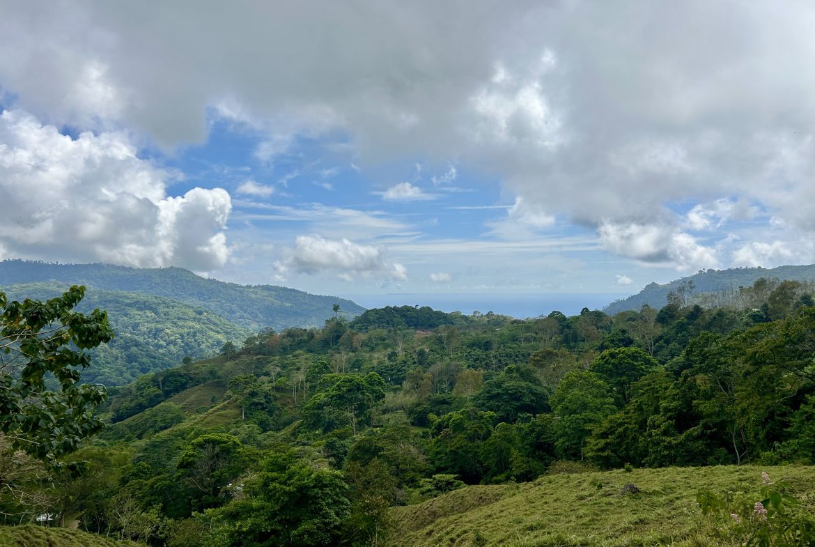 NATURAL PARADISE IN MORETE, UVITA – 17.2 ACRES WITH OCEAN & MOUNTAIN VIEWS