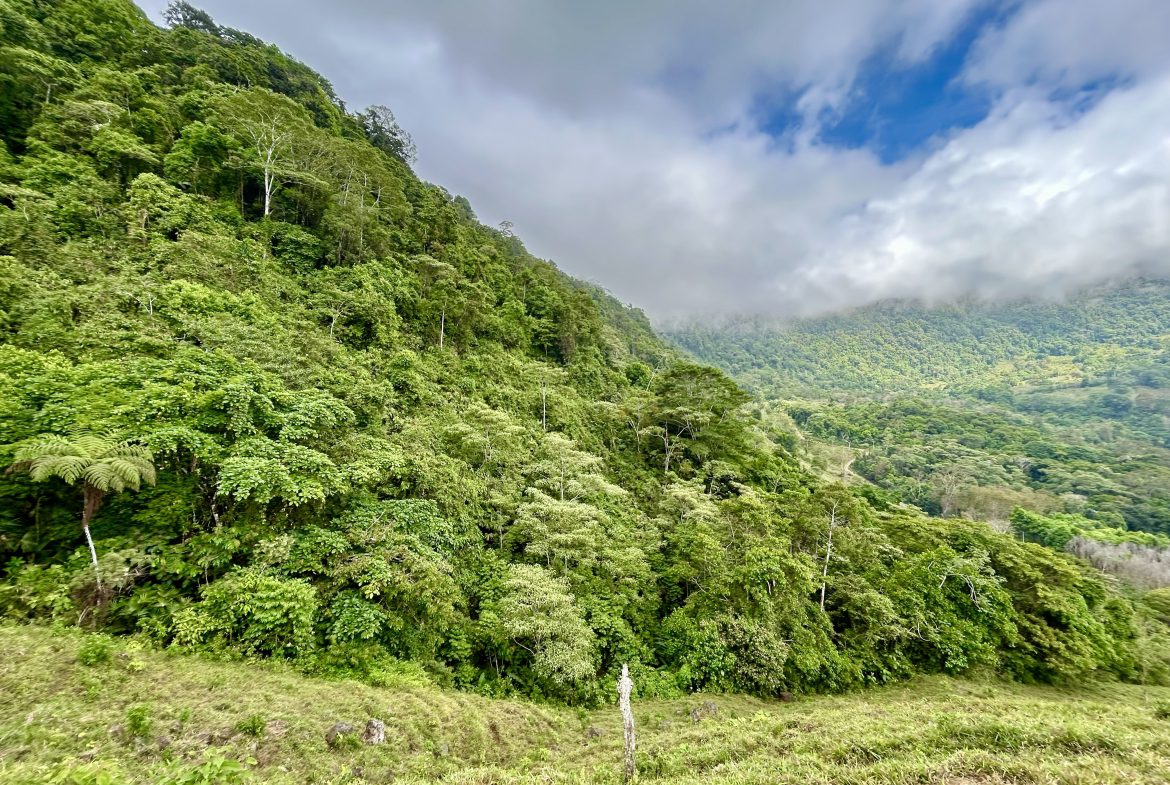 NATURAL PARADISE IN MORETE, UVITA – 17.2 ACRES WITH OCEAN & MOUNTAIN VIEWS