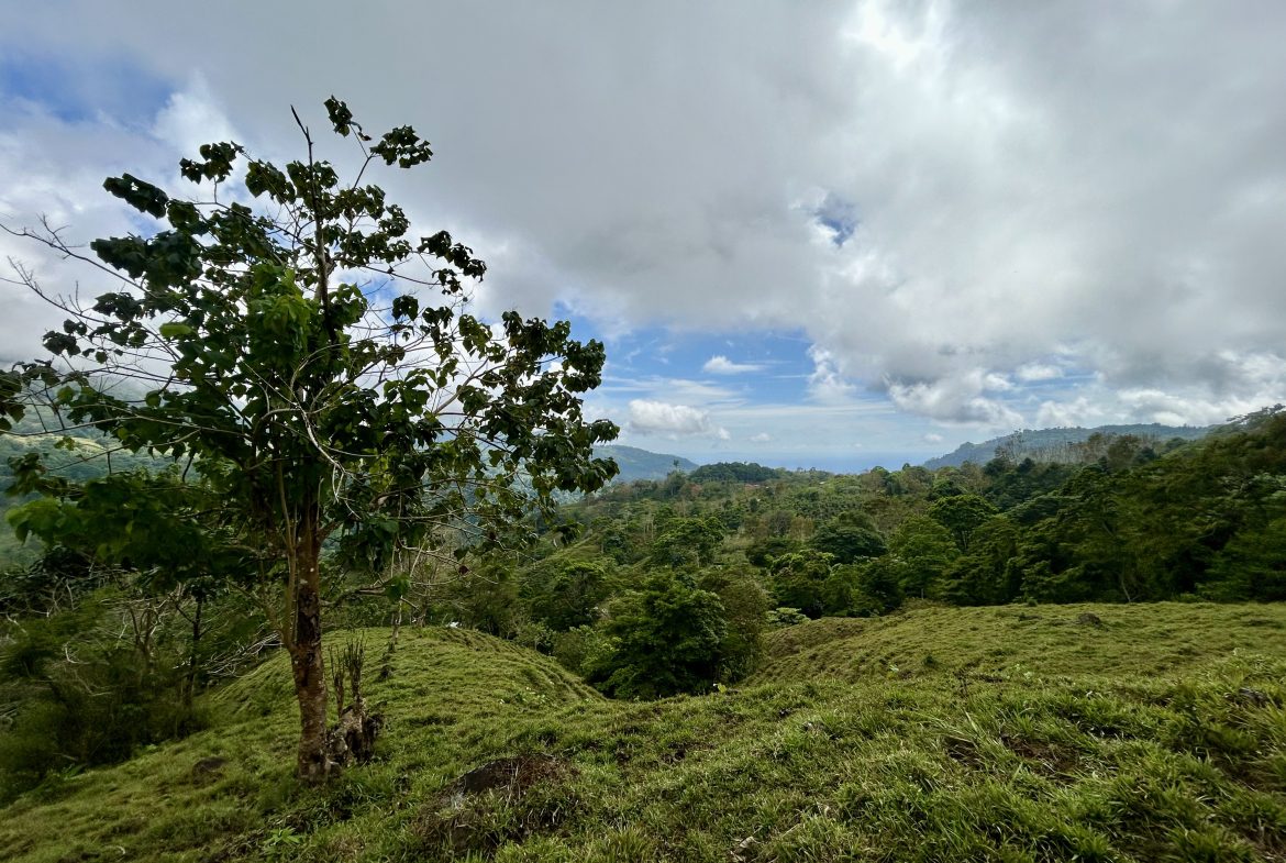NATURAL PARADISE IN MORETE, UVITA – 17.2 ACRES WITH OCEAN & MOUNTAIN VIEWS
