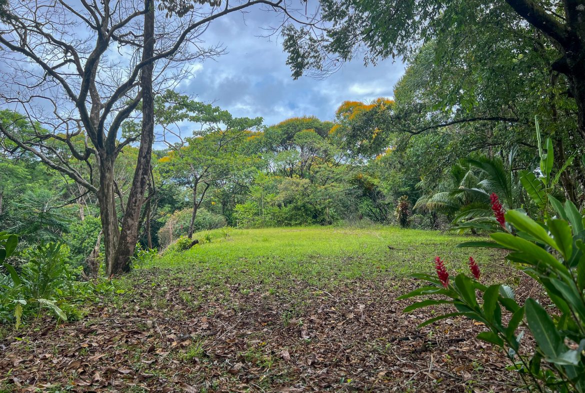 CASA CANTO DEL RÍO – A MODERN JUNGLE RETREAT WITH RIVERFRONT SERENITY & PRIVATE POOL ON 1-ACRE, Uvita, Costa Rica — photo 3