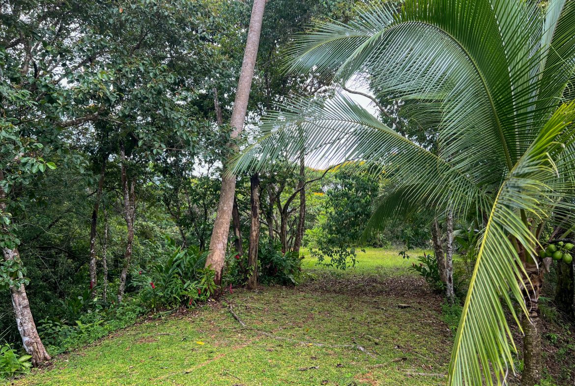 CASA CANTO DEL RÍO – A MODERN JUNGLE RETREAT WITH RIVERFRONT SERENITY & PRIVATE POOL ON 1-ACRE