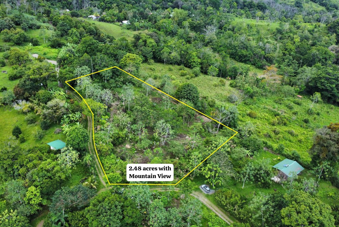 ABSOLUTELY FLAT JUNGLE LOT WITH MOUNTAIN VIEWS – DIAMANTE VALLEY – 2.48 ACRES