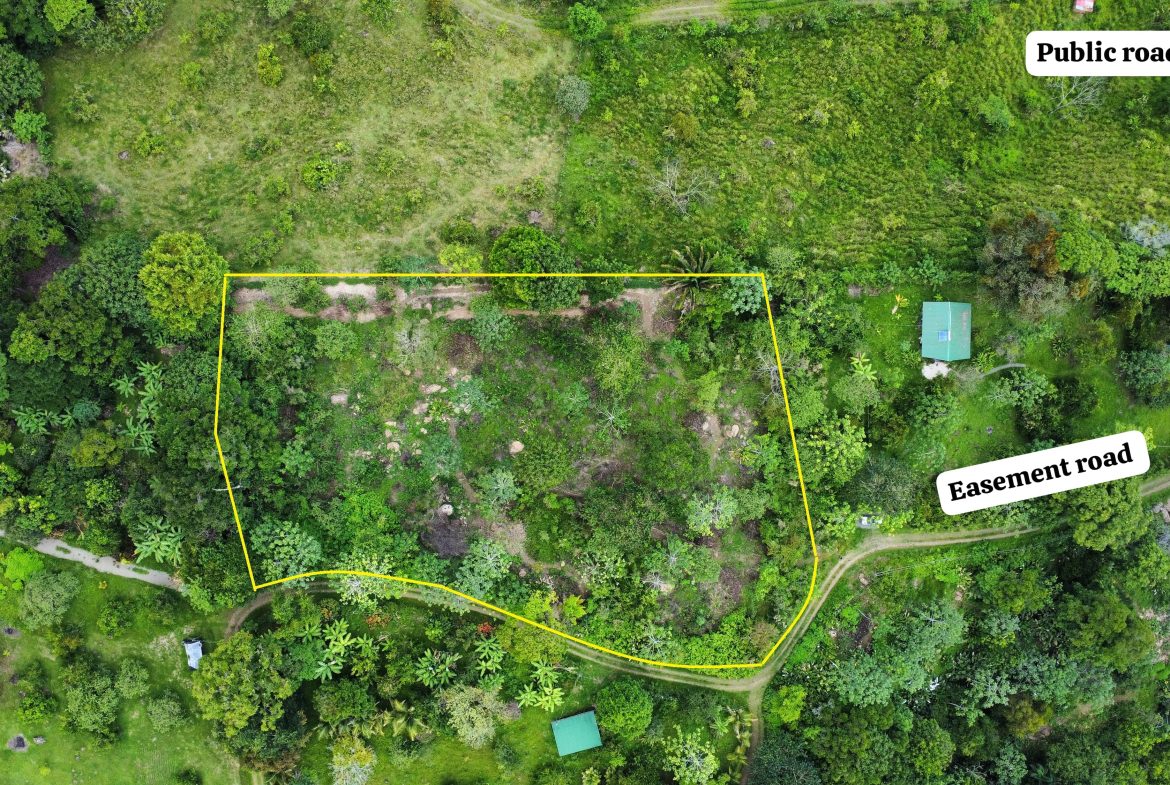 ABSOLUTELY FLAT JUNGLE LOT WITH MOUNTAIN VIEWS – DIAMANTE VALLEY – 2.48 ACRES