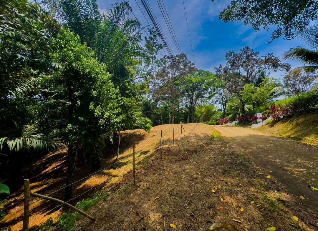 PROPERTY IN OJOCHAL WITH JUNGLE – 2.35 ACRES