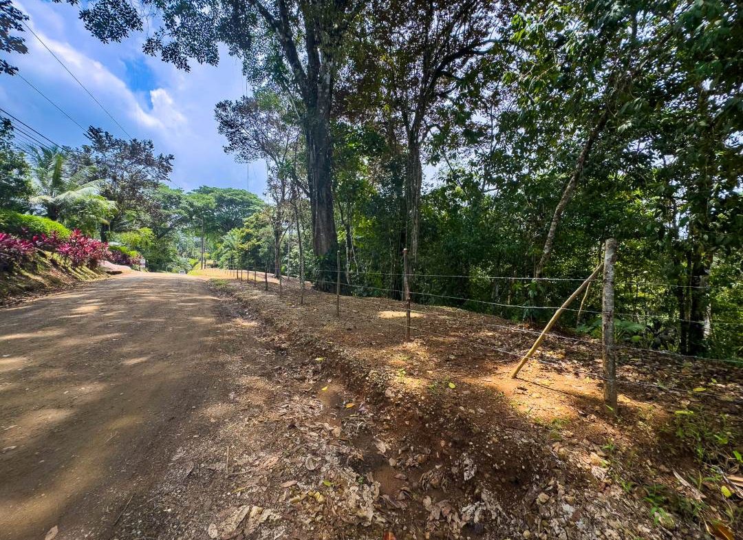 PROPERTY IN OJOCHAL WITH JUNGLE – 2.35 ACRES