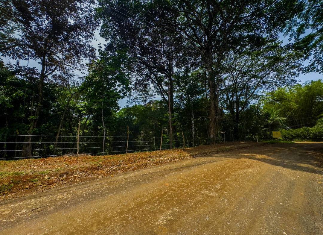 PROPERTY IN OJOCHAL WITH JUNGLE – 2.35 ACRES