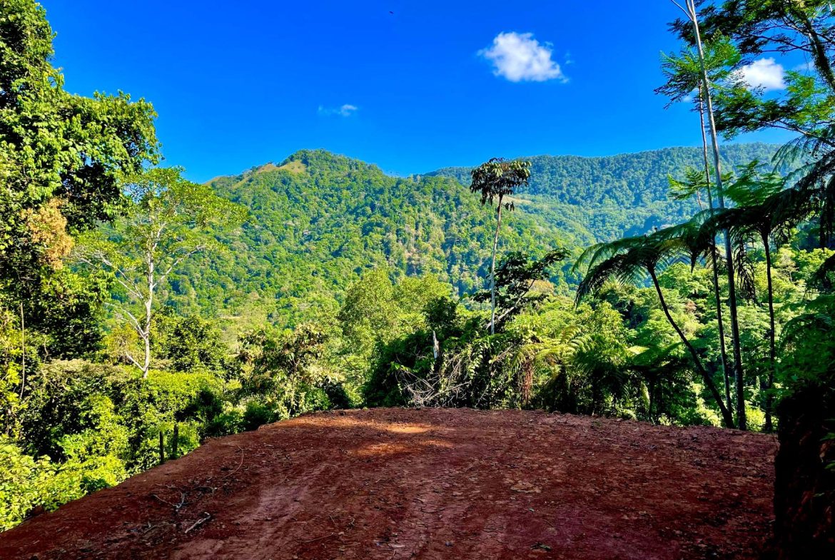 PROPERTY WITH SUNSETH VIEW IN 3 RIOS – 6 ACRES