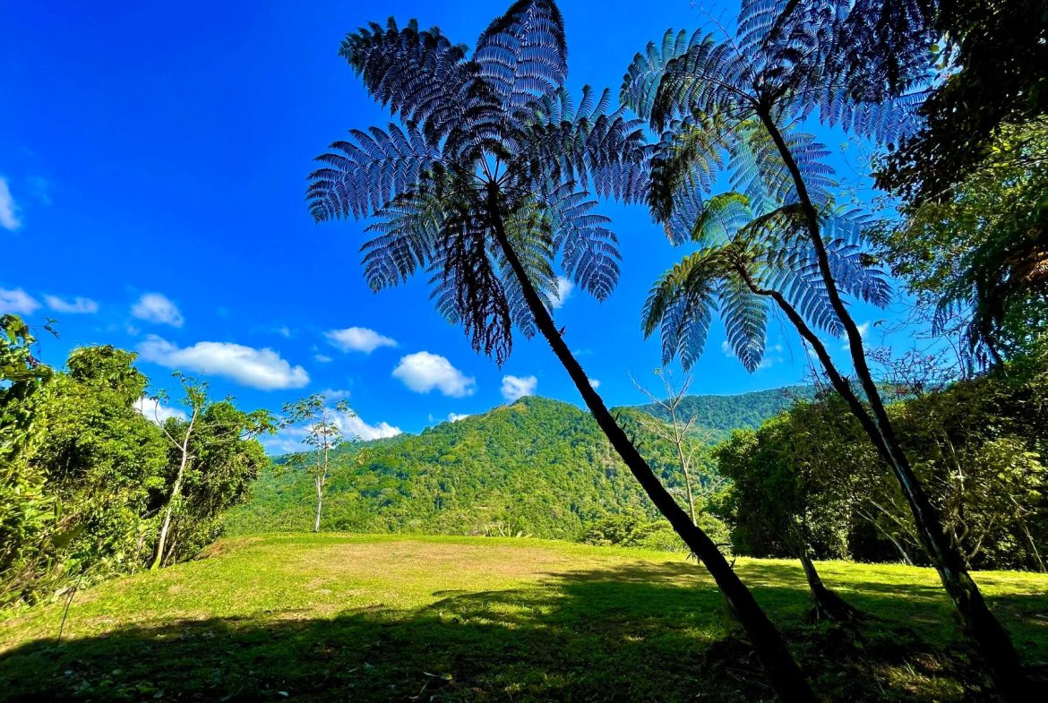 PROPERTY WITH SUNSETH VIEW IN 3 RIOS – 6 ACRES