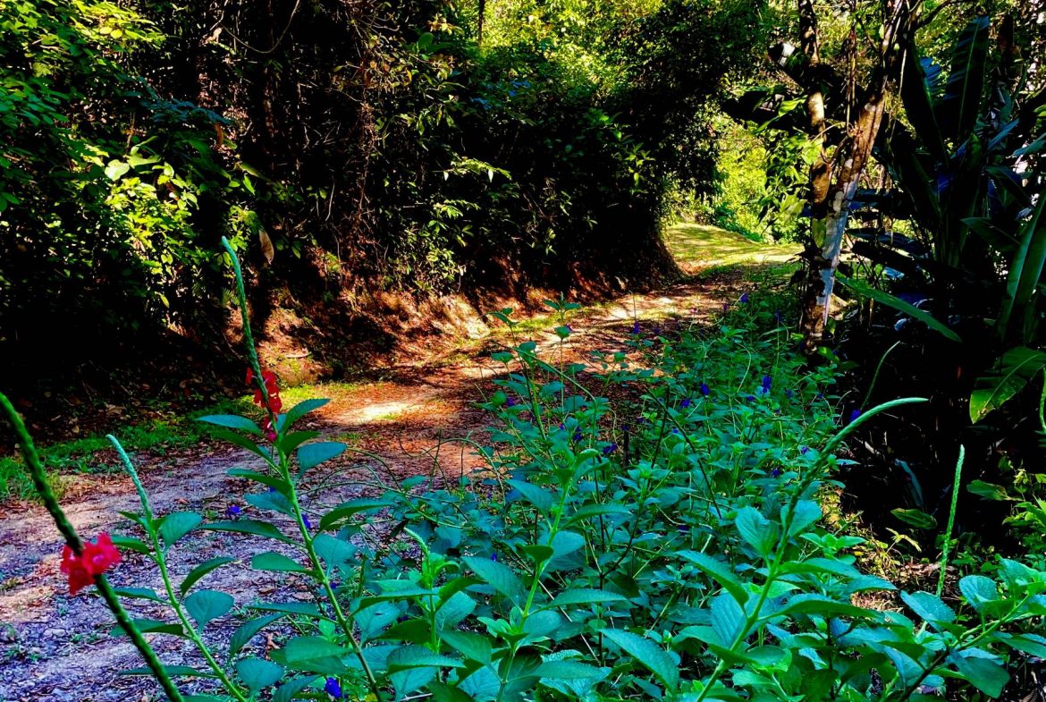 PROPERTY WITH SUNSETH VIEW IN 3 RIOS – 6 ACRES