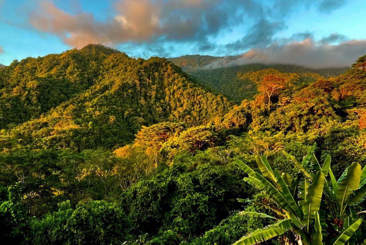 PROPERTY WITH SUNSETH VIEW IN 3 RIOS – 6 ACRES