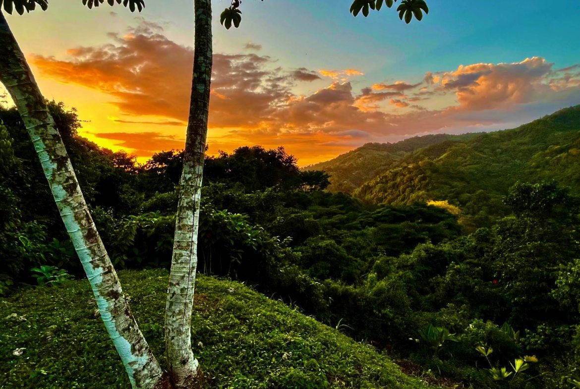 PROPERTY WITH SUNSETH VIEW IN 3 RIOS – 6 ACRES
