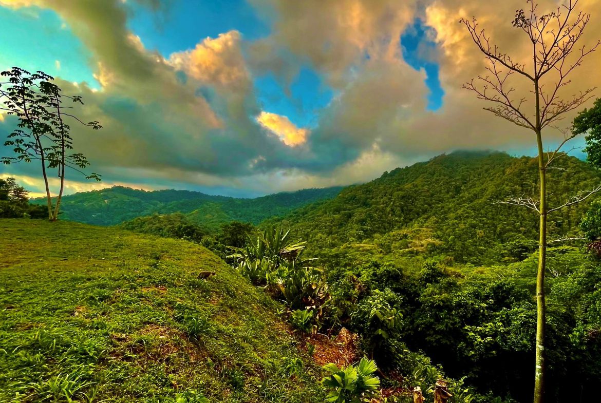 PROPERTY WITH SUNSETH VIEW IN 3 RIOS – 6 ACRES