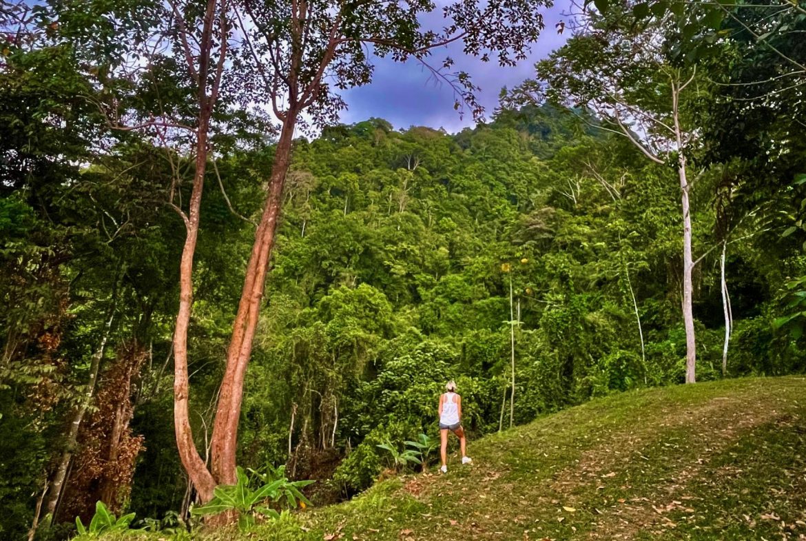 PROPERTY WITH SUNSETH VIEW IN 3 RIOS – 6 ACRES