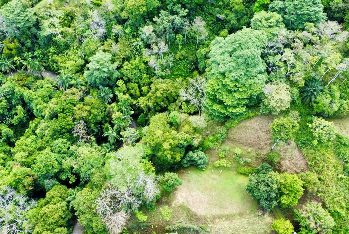 PROPERTY WITH OCEAN AND MOUNTAIN VIEWS, IN LAGUNAS – 3.6 ACRES