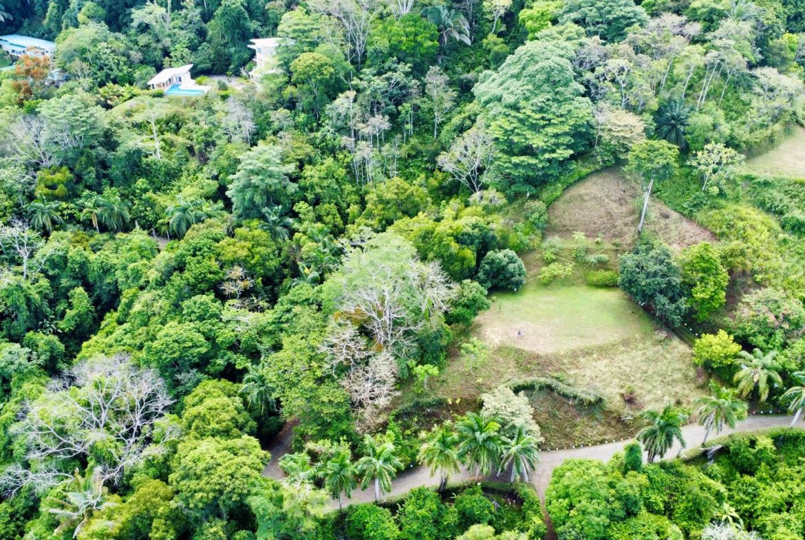 PROPERTY WITH OCEAN AND MOUNTAIN VIEWS, IN LAGUNAS – 3.6 ACRES