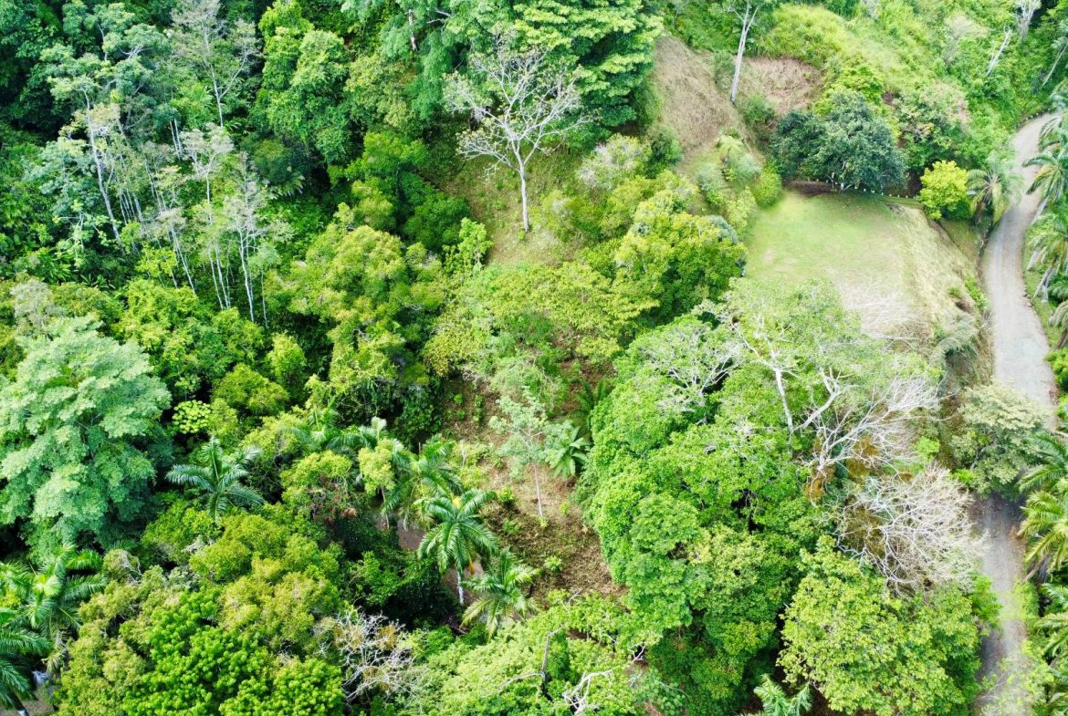 PROPERTY WITH OCEAN AND MOUNTAIN VIEWS, IN LAGUNAS – 3.6 ACRES