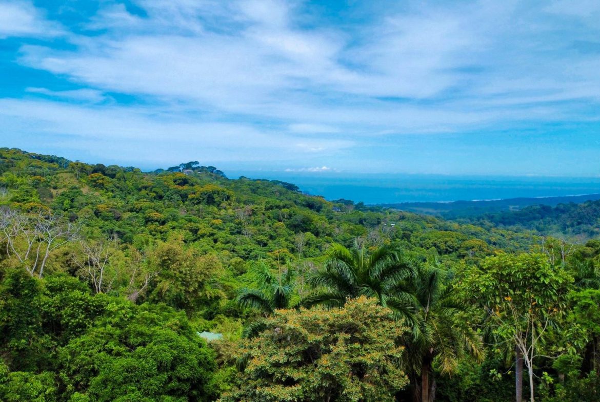 PROPERTY WITH OCEAN AND MOUNTAIN VIEWS, IN LAGUNAS – 3.6 ACRES