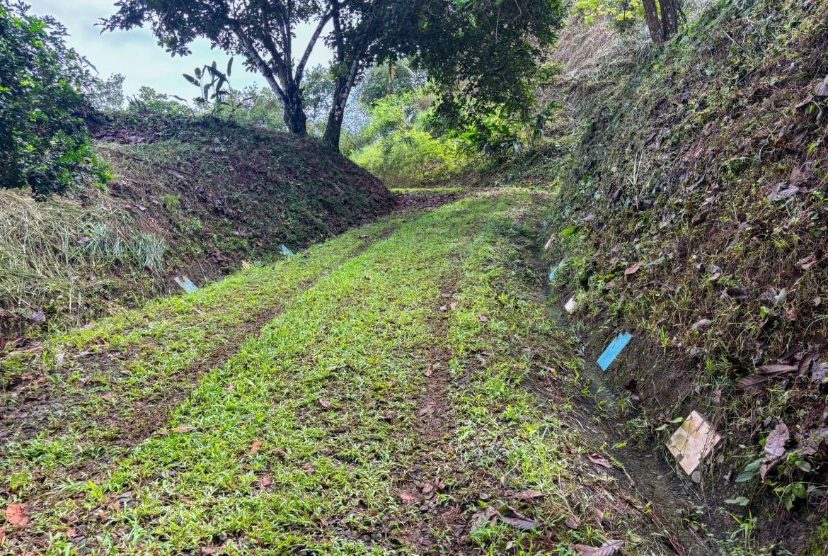 PROPERTY WITH OCEAN AND MOUNTAIN VIEWS, IN LAGUNAS – 3.6 ACRES