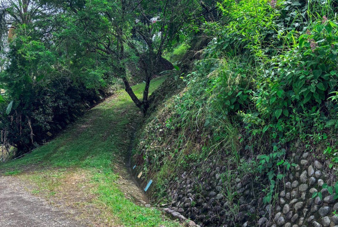PROPERTY WITH OCEAN AND MOUNTAIN VIEWS, IN LAGUNAS – 3.6 ACRES