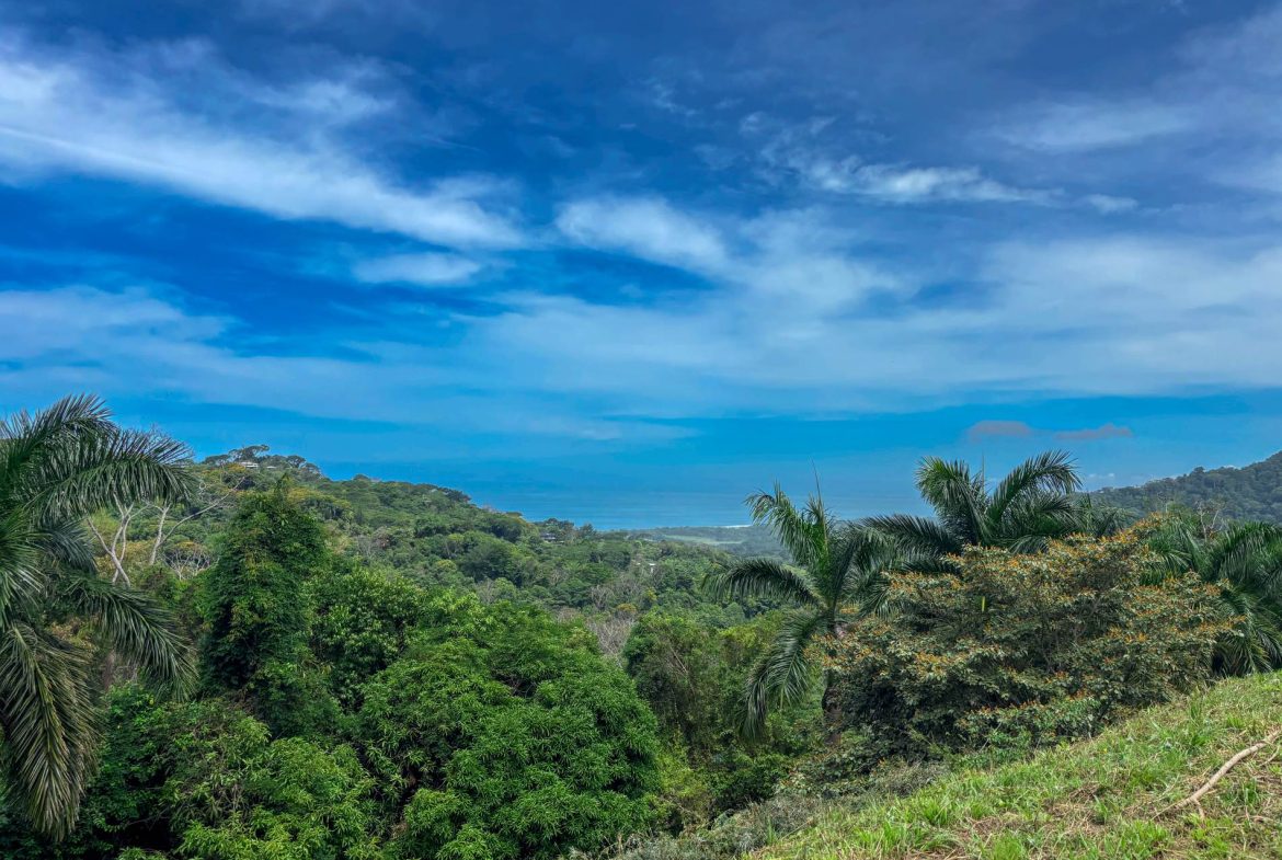 PROPERTY WITH OCEAN AND MOUNTAIN VIEWS, IN LAGUNAS – 3.6 ACRES