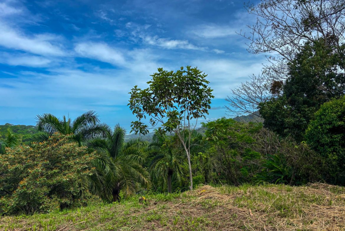 PROPERTY WITH OCEAN AND MOUNTAIN VIEWS, IN LAGUNAS – 3.6 ACRES