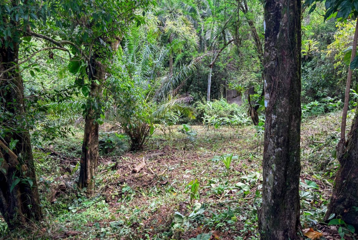 PROPERTY WITH OCEAN AND MOUNTAIN VIEWS, IN LAGUNAS – 3.6 ACRES