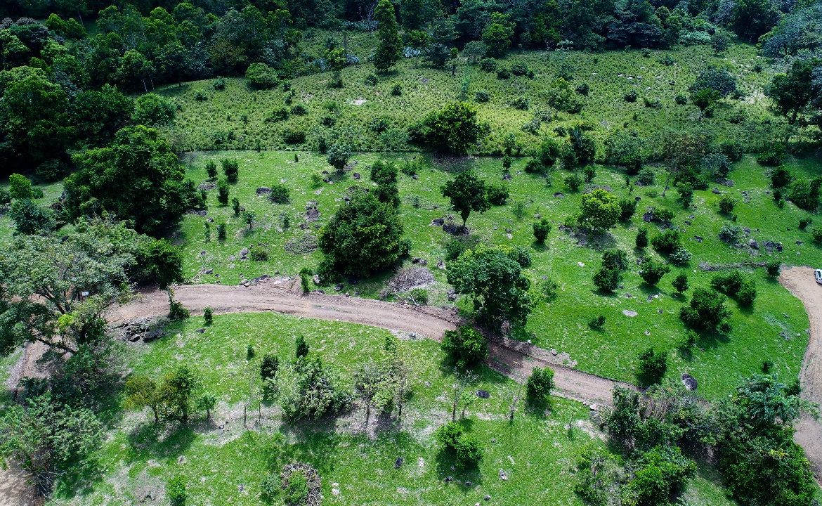 ABSOLUTELY FLAT JUNGLE LOT WITH MOUNTAIN VIEWS – DIAMANTE VALLEY – 2.48 ACRES