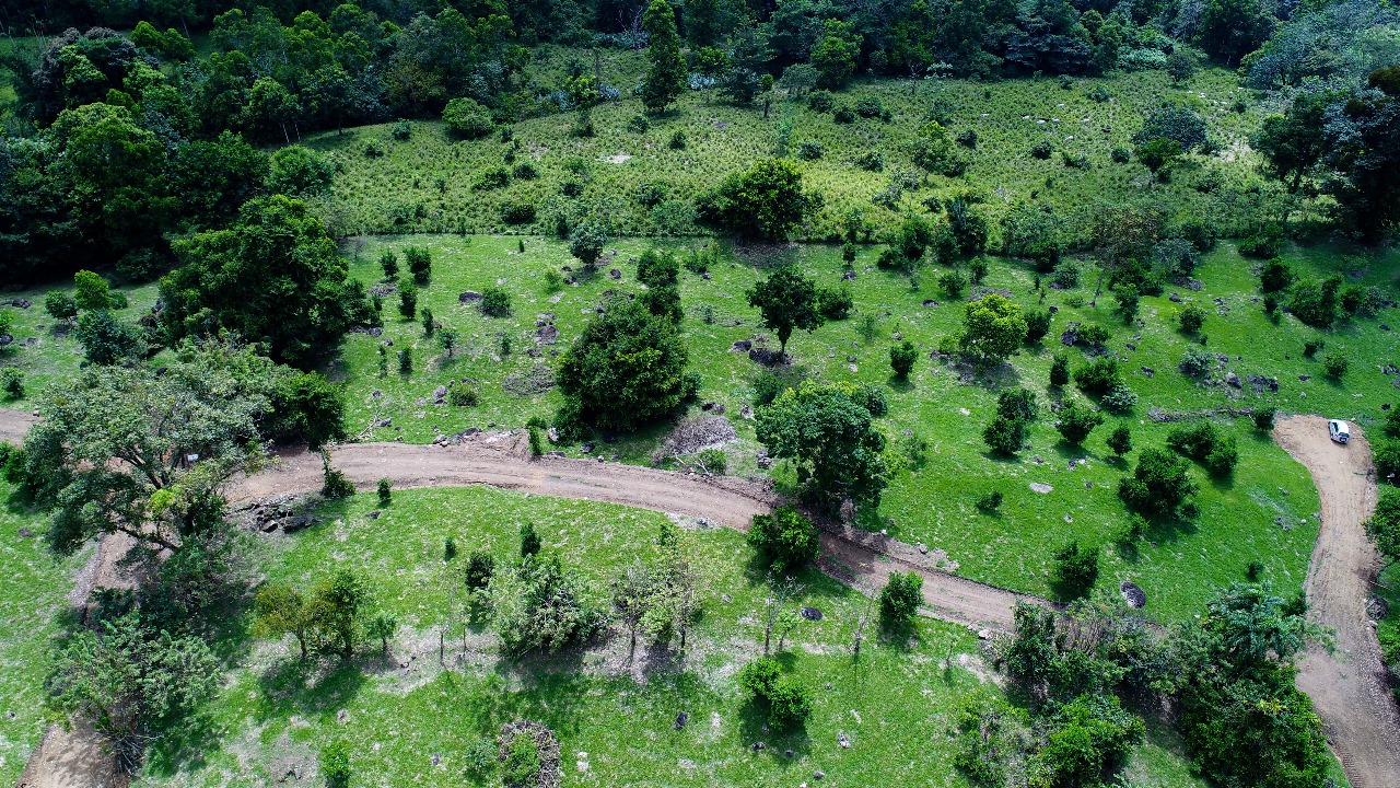 WhatsApp Image 2025-02-19 at 3.17.49 PM