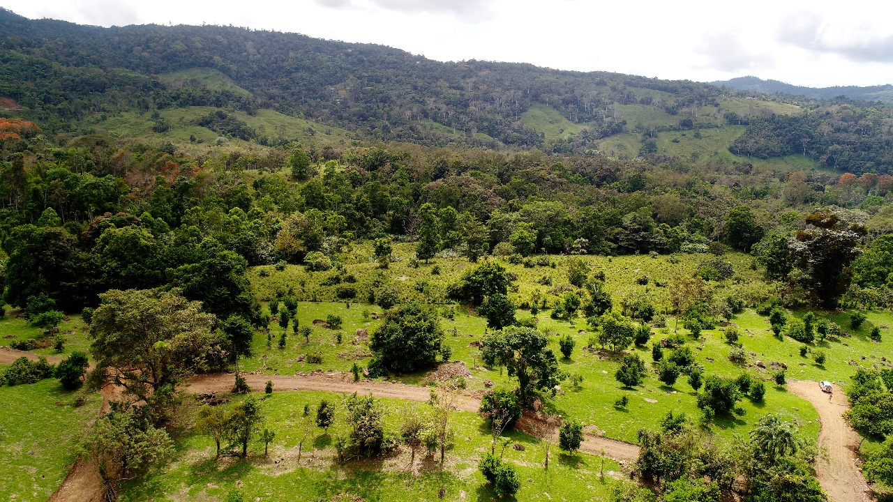 WhatsApp Image 2025-02-19 at 3.17.58 PM