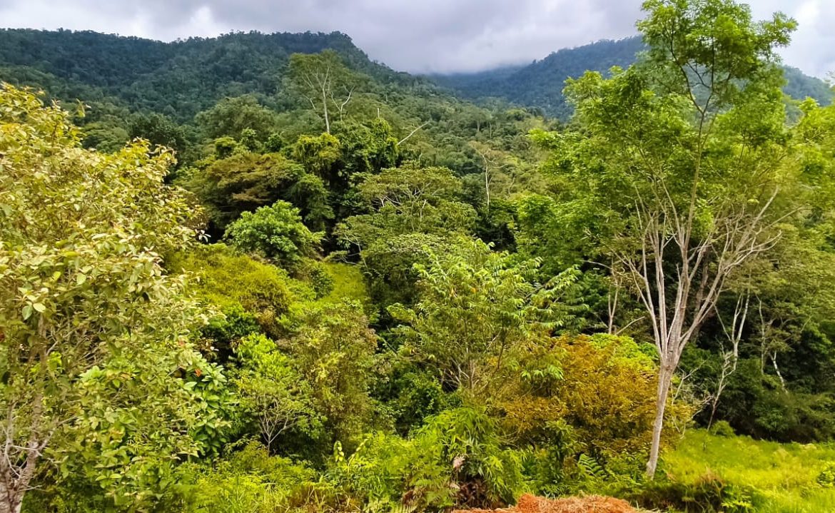 PROPERTY WITH MOUNTAIN VIEW IN TRES RIOS – 2.47 ACRES